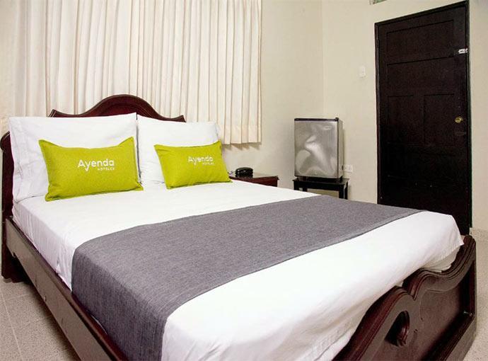 Ayenda 1309 Dilia